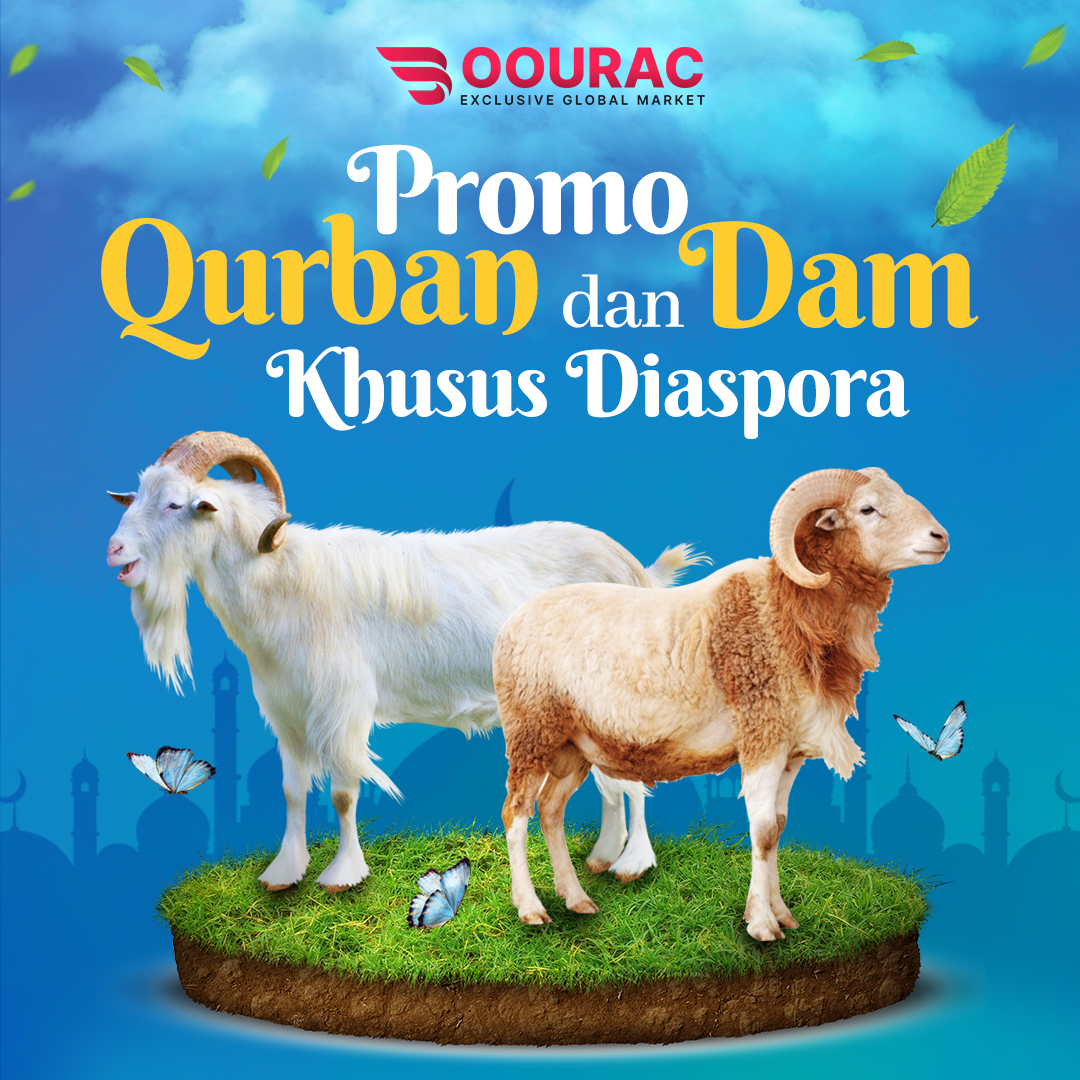 Hewan kurban/Dam untuk Diaspora