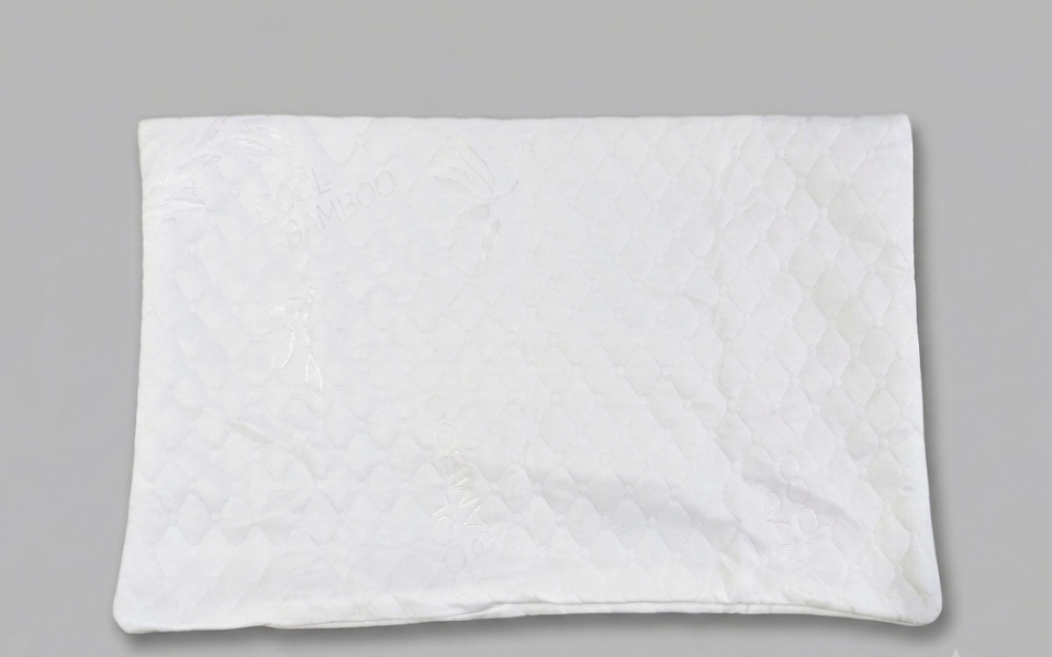 Pillow Protector 3